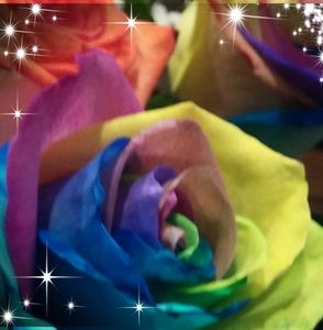 Meet your Posher, Yolanda